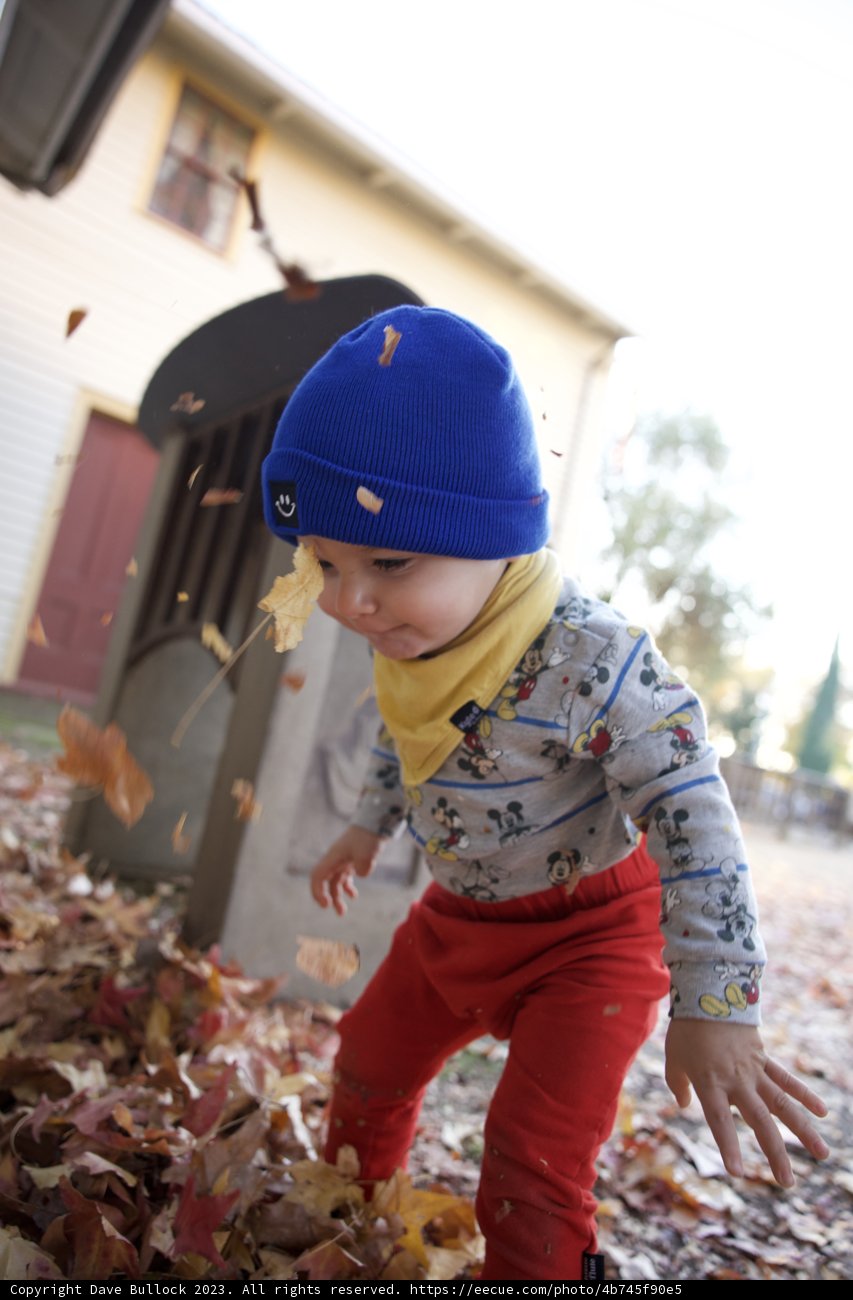 Wesley's Playful Autumn Ensemble