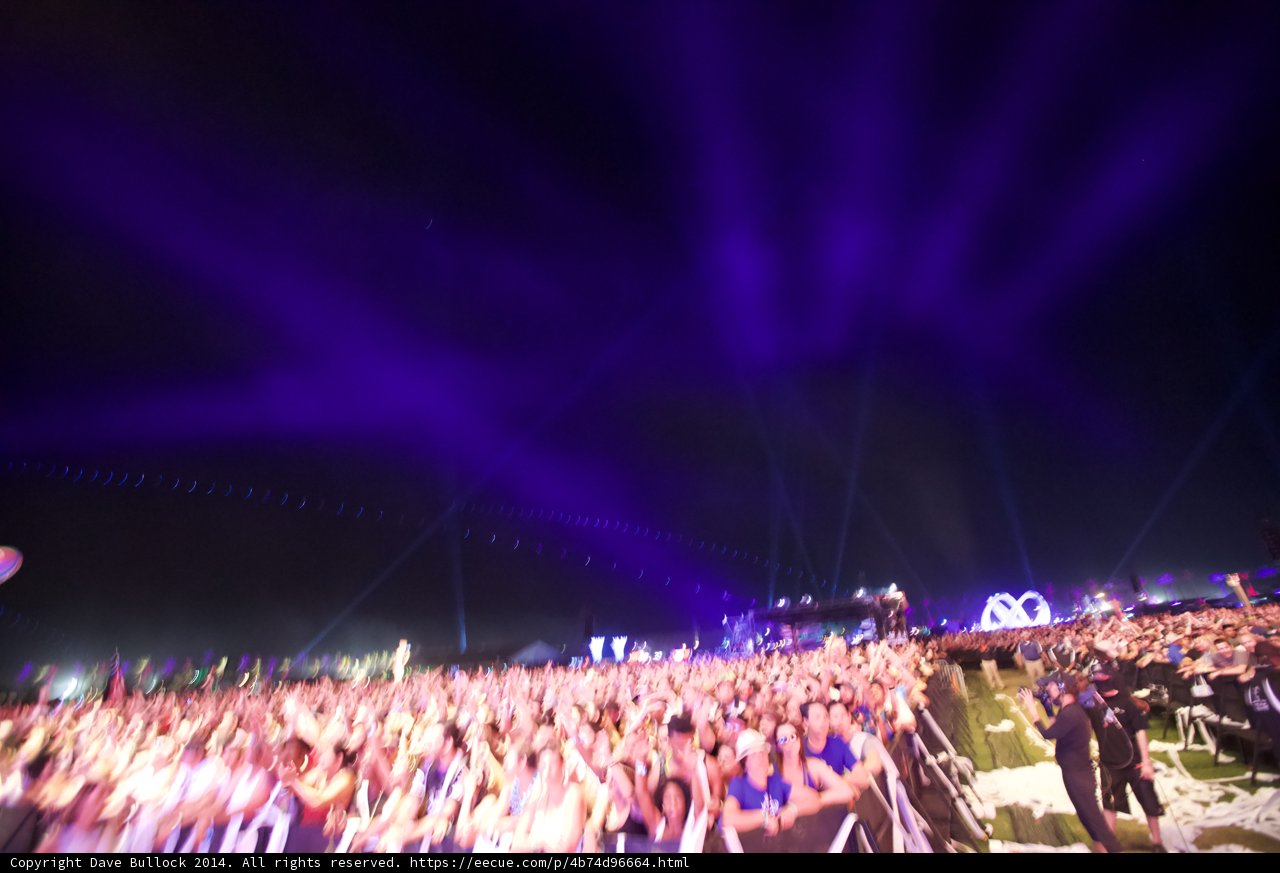 Purple Haze at Coachella