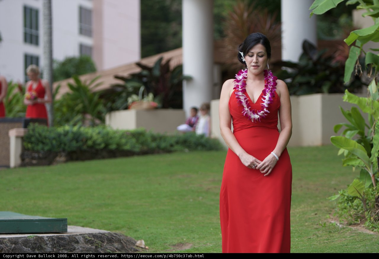 Red Carpet in the Grass