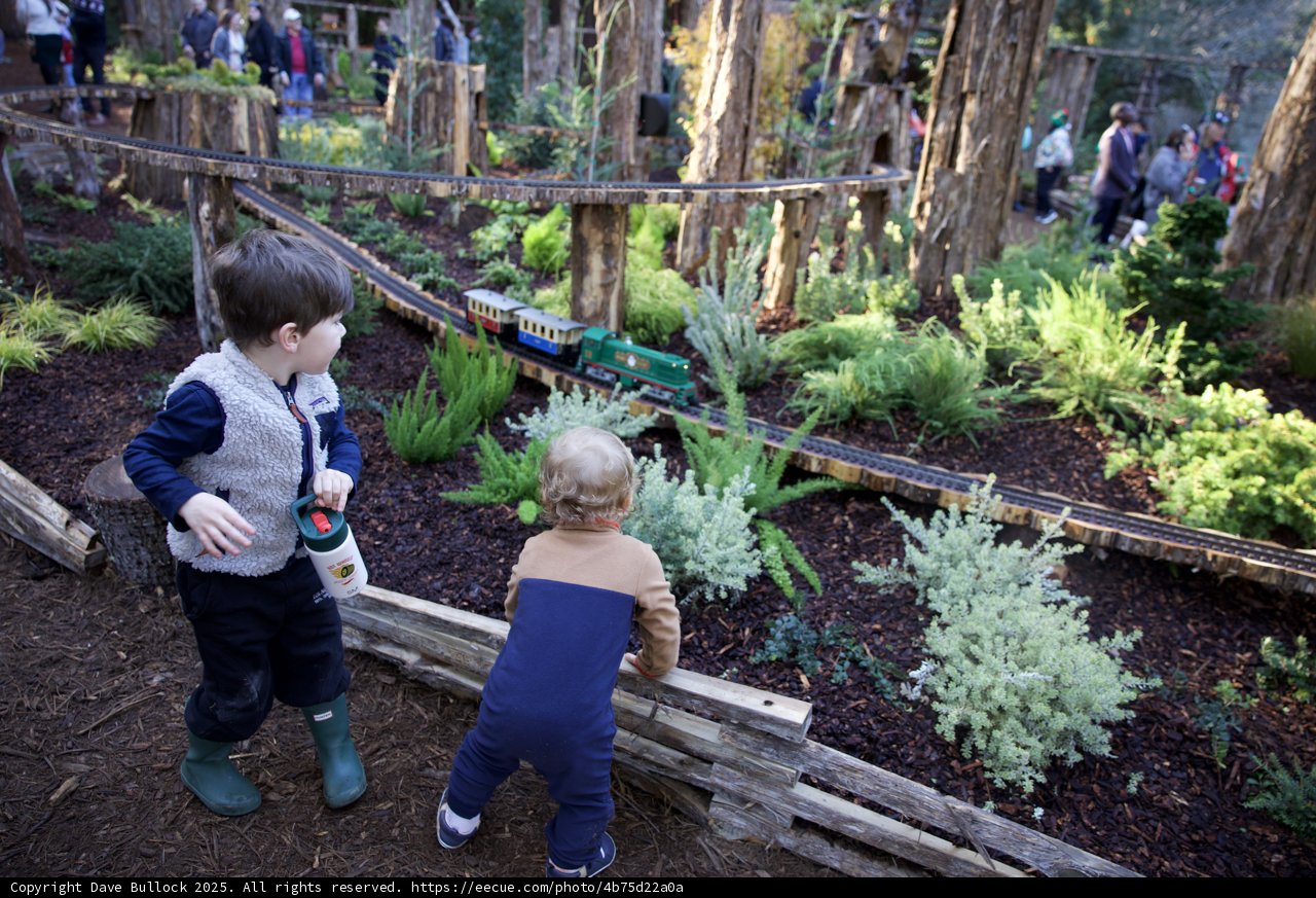 Tiny Adventurers in Thistlewyck Garden
