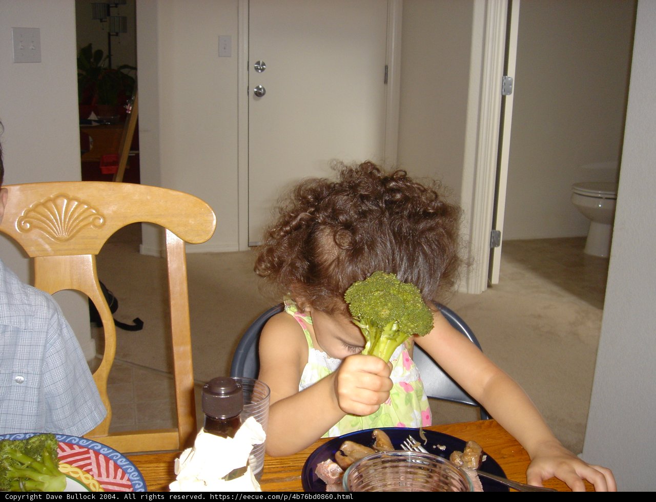 Little Girl and Her Fresh Broccoli