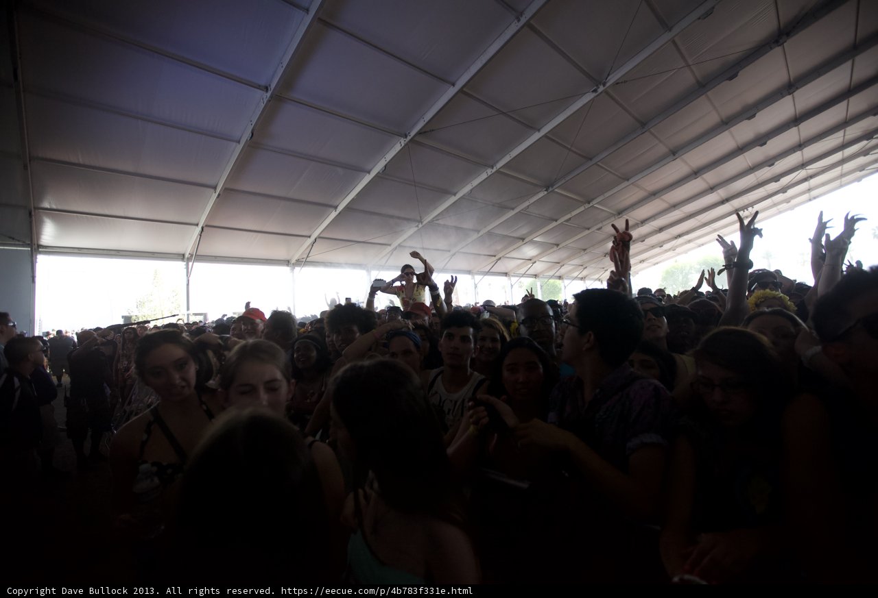 Hands Up in the Crowd