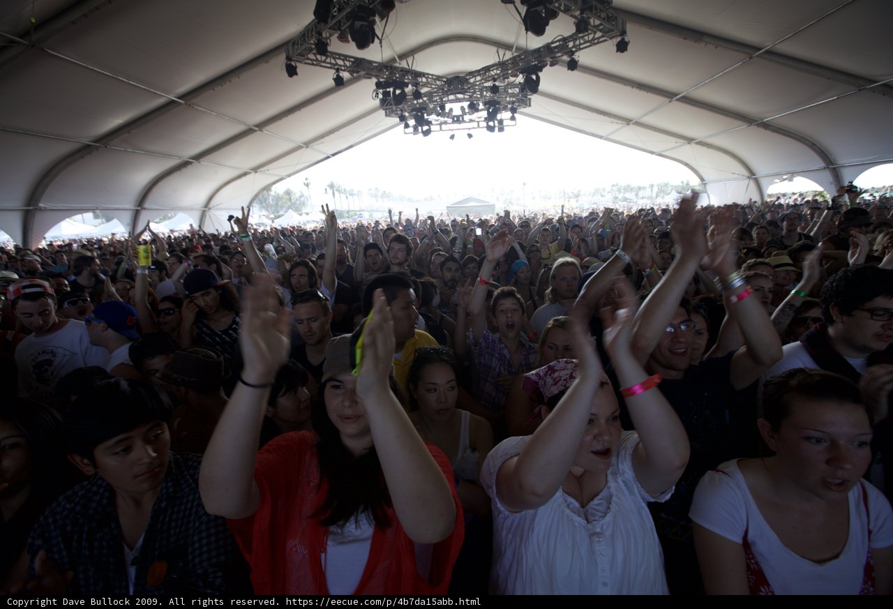 Coachella Crowd Goes Wild
