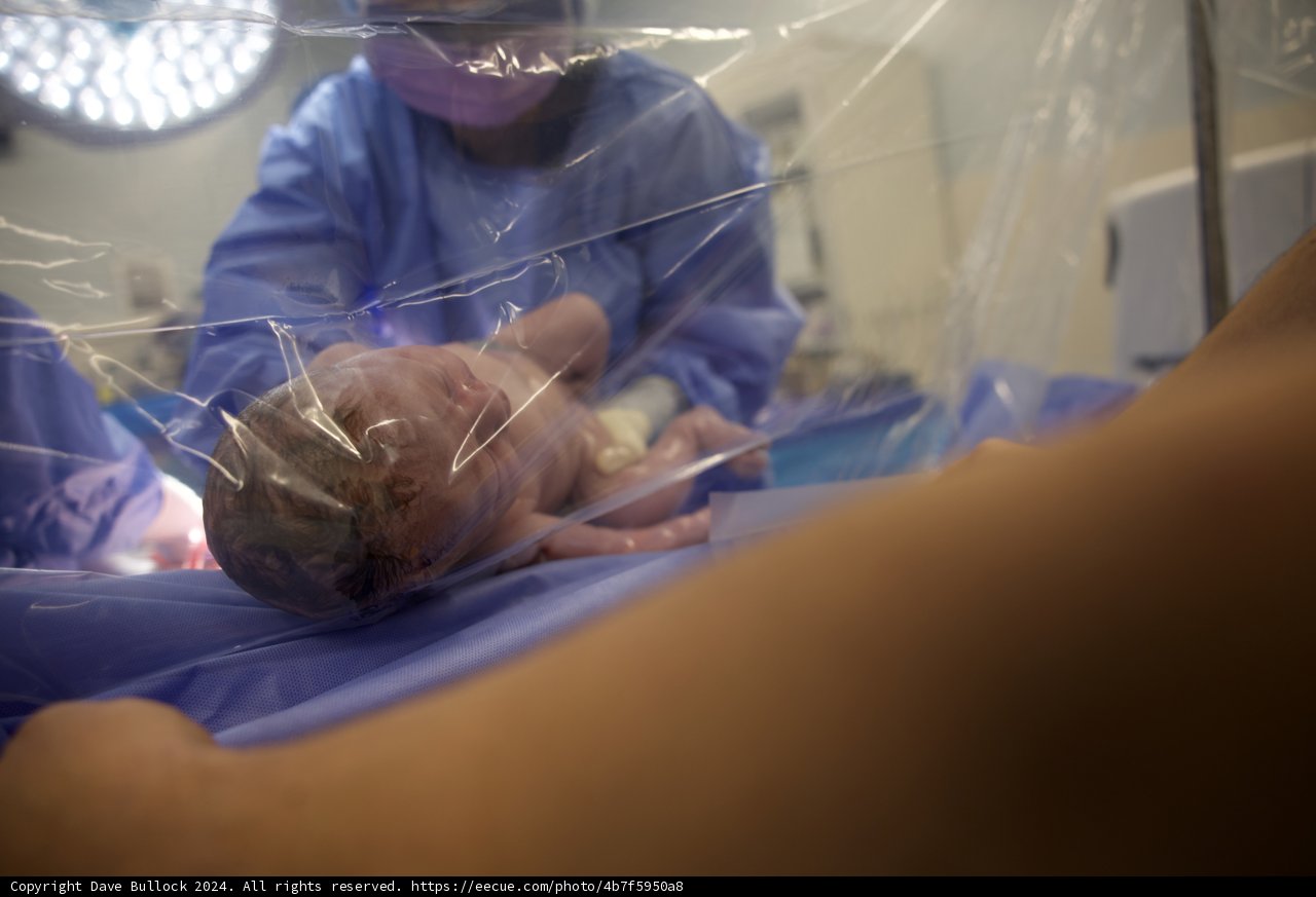 Welcome to the World, Leland