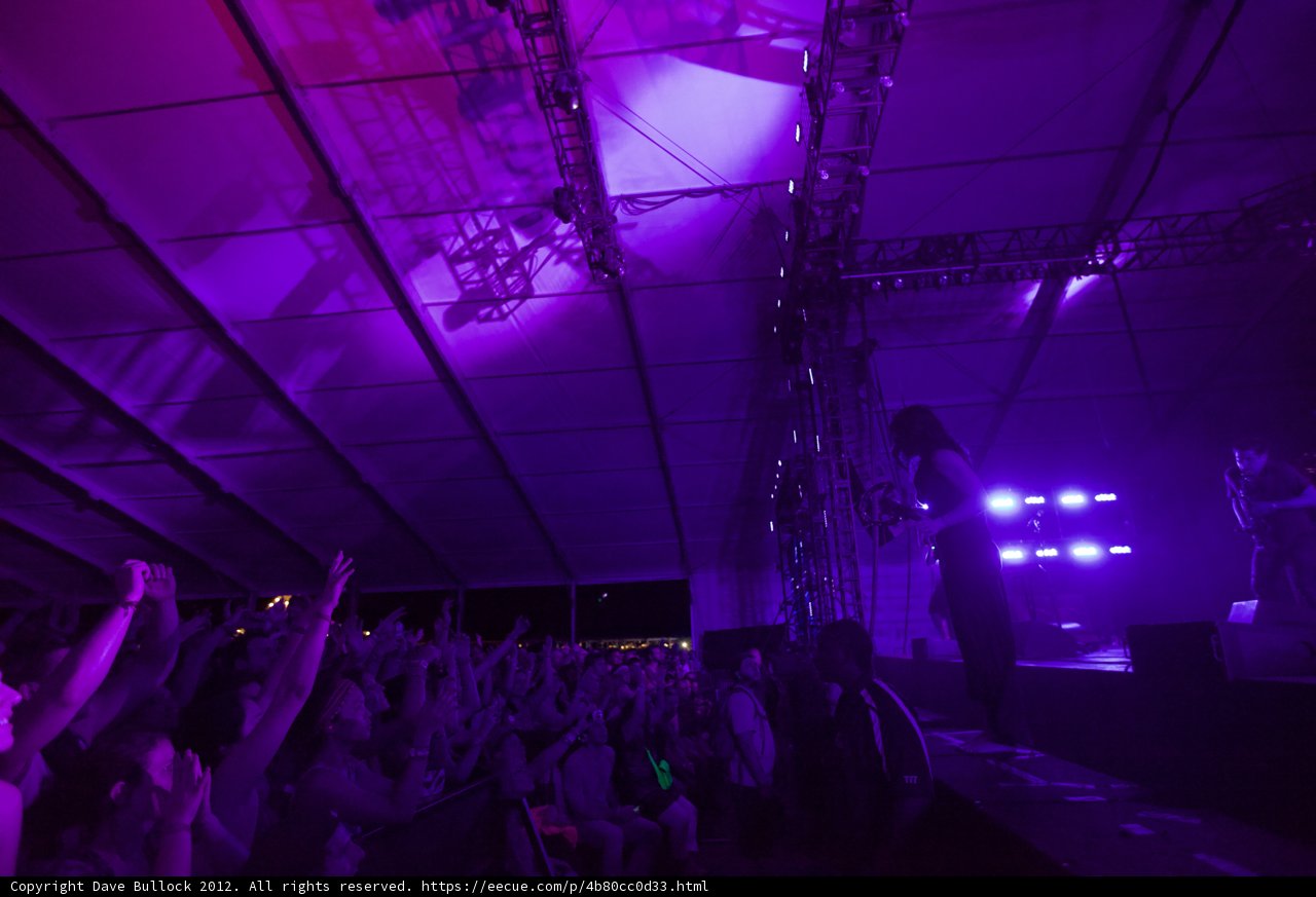 Purple Haze