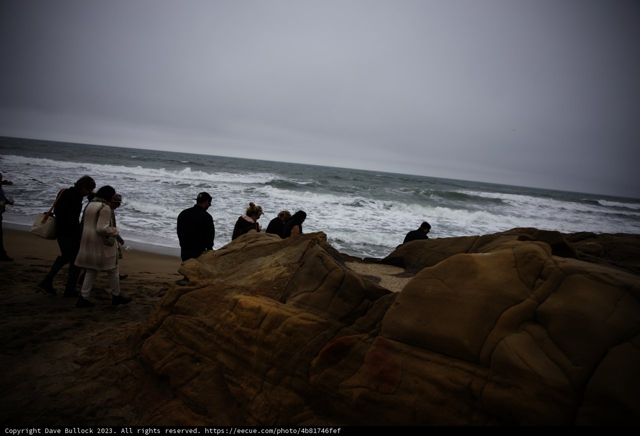 Beach Adventure with Friends