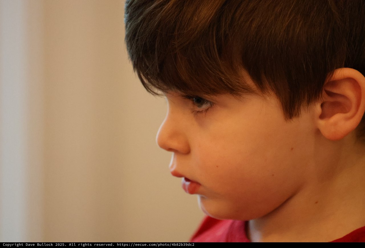 Young Boy in Thoughtful Side Profile Portrait