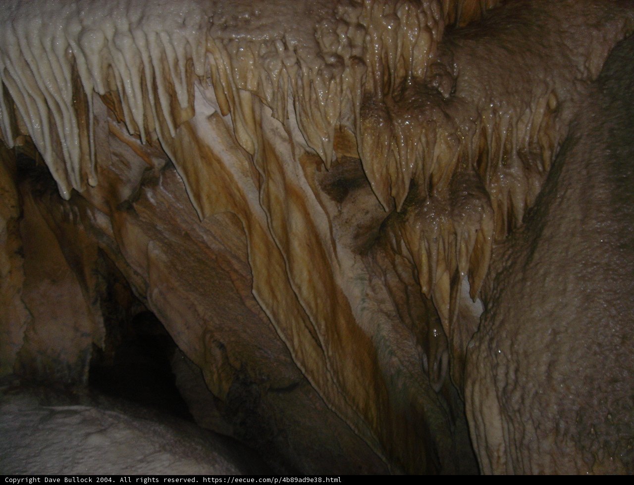 An Icy Oasis in the Heart of the Cave