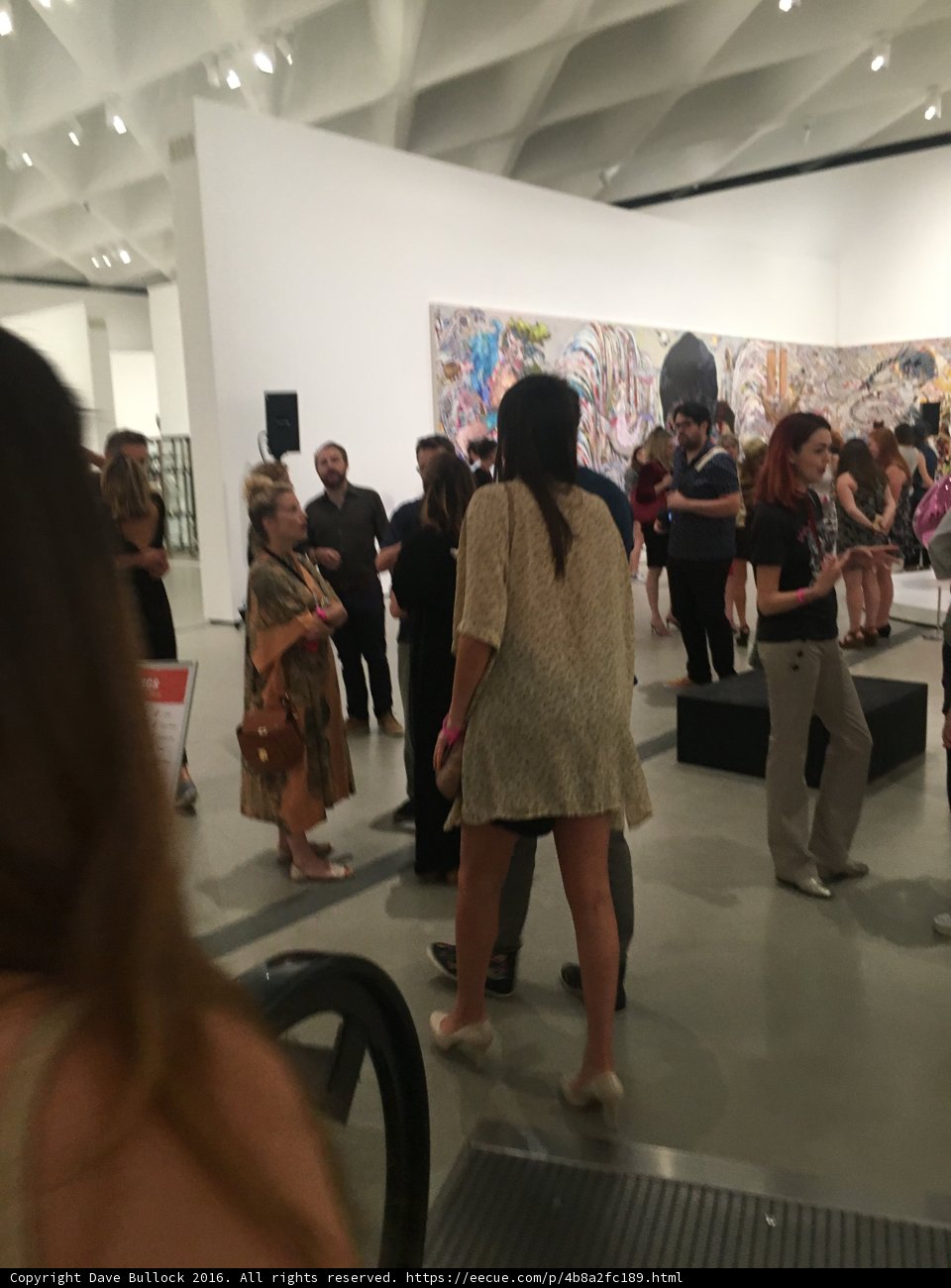 Art Lovers at The Broad Gallery