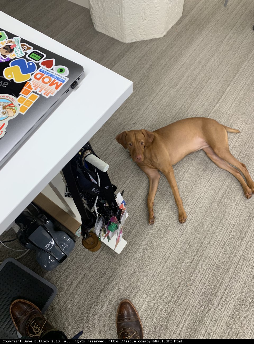 Laptop Companionship