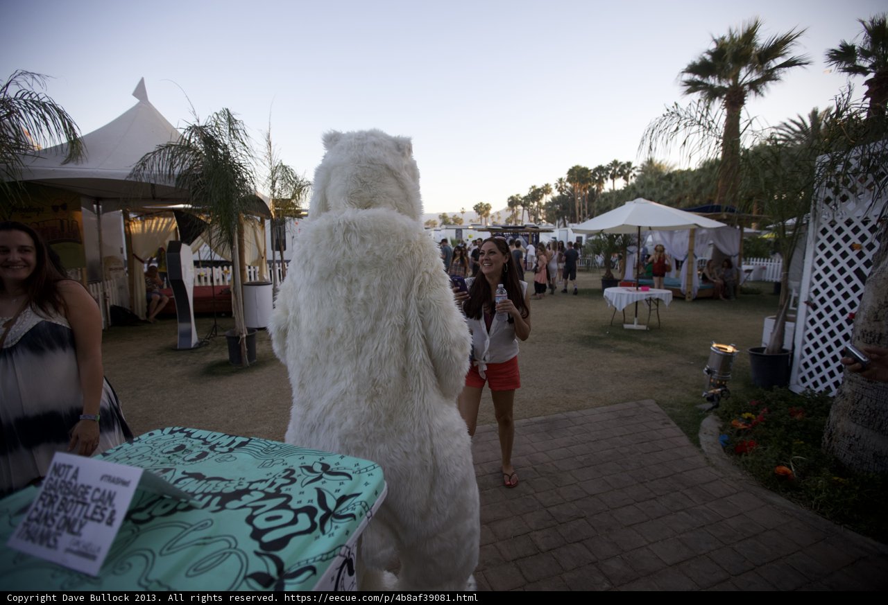 Polar Companion