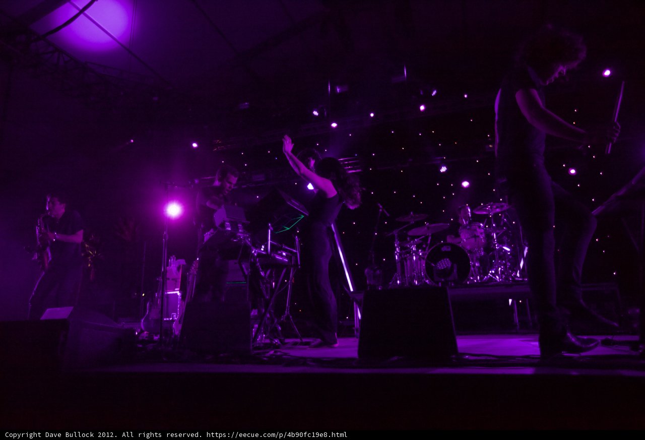 Purple Haze