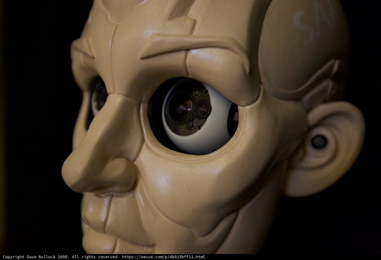 Robotic Persona