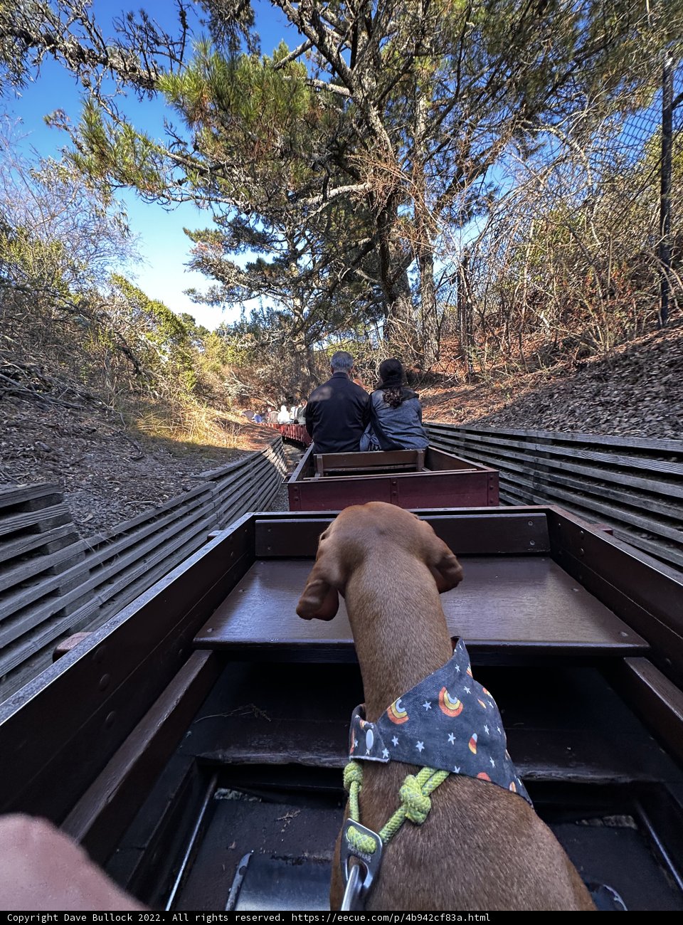 The Train Ride with Fido