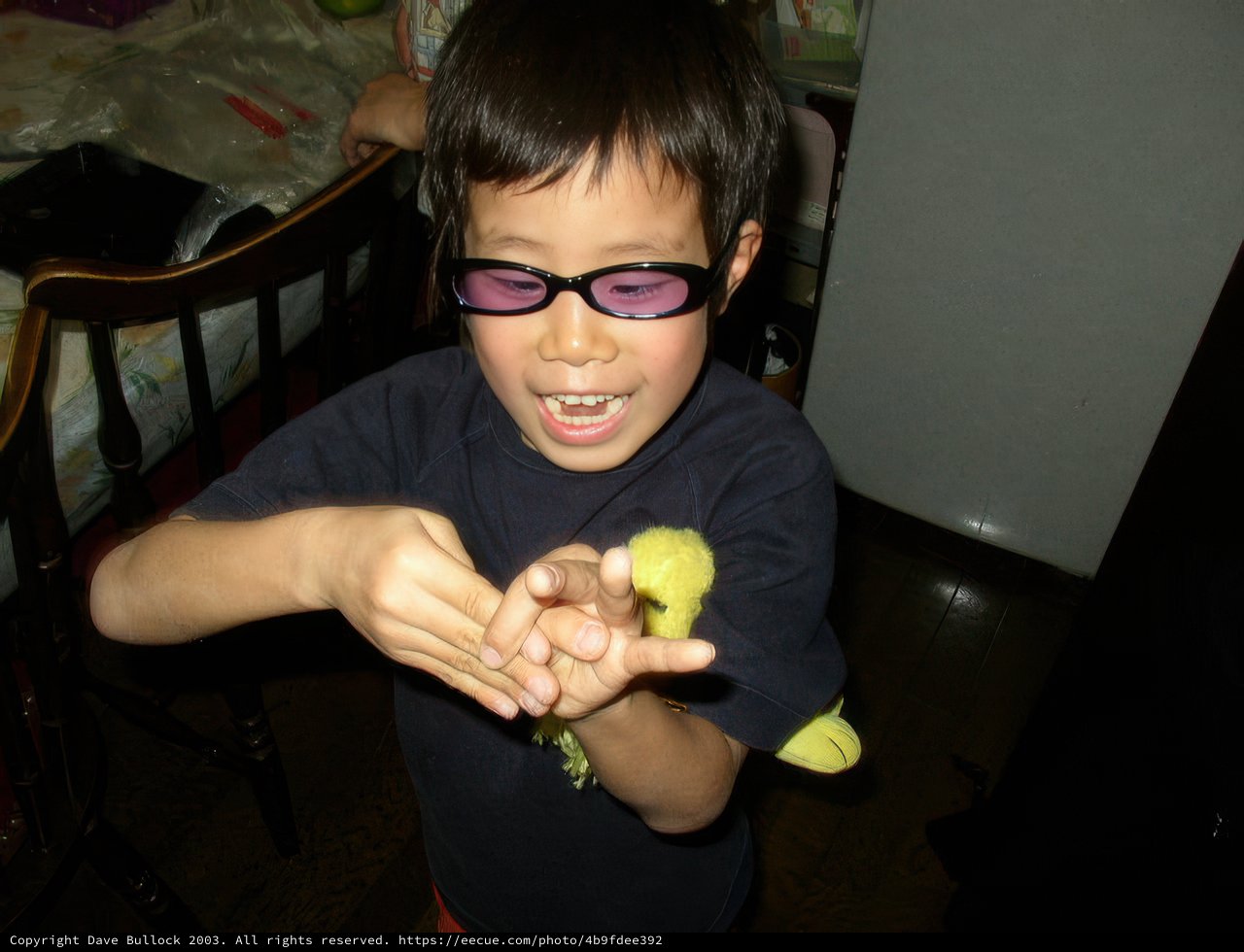 Young Boy in Spectacles