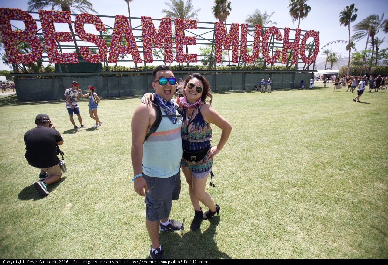 Love in the Palm Tree Park