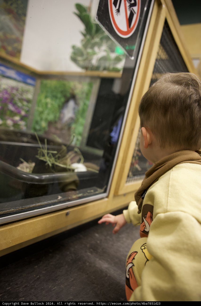 Childlike Wonder: Aquarium Discovery