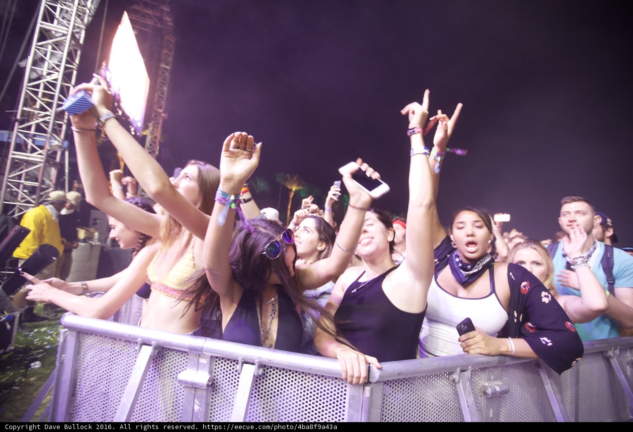Music festival madness