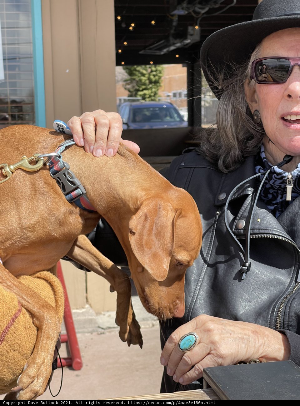 Stylish Woman with Vizsla in Santa Fe