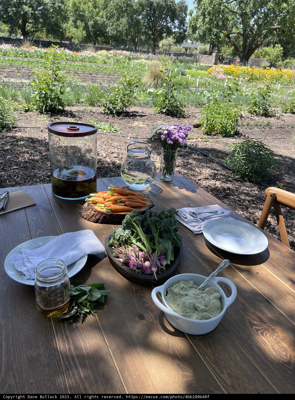The Earth's Bounty: A Feast of Regenerative Gardening