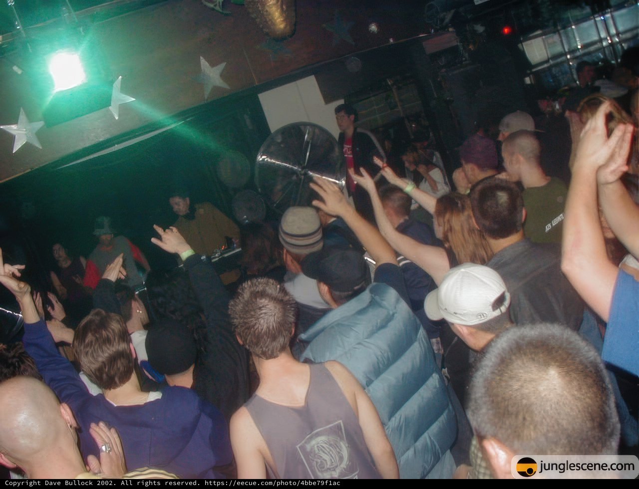 Nightclub Partygoers with Hands Up