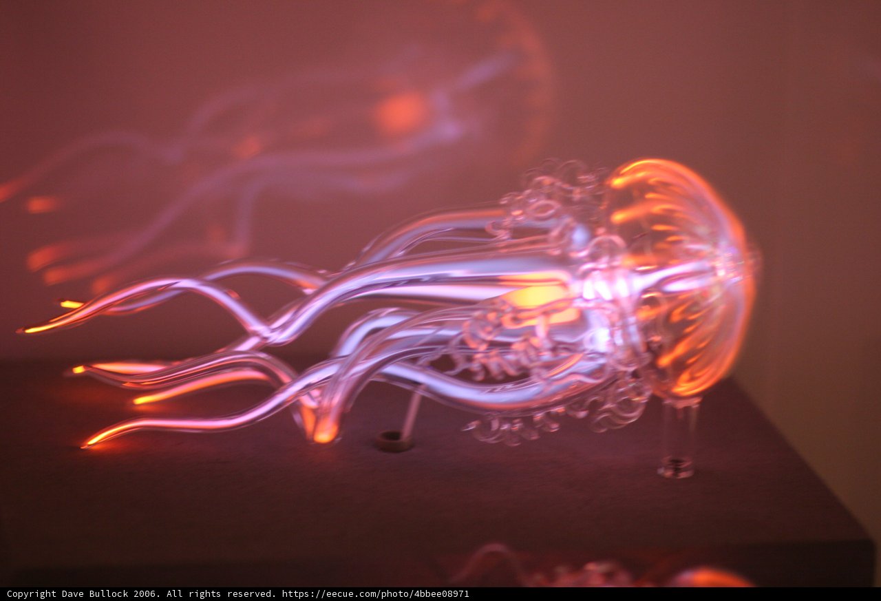 Neon-Lit Jellyfish at Sea