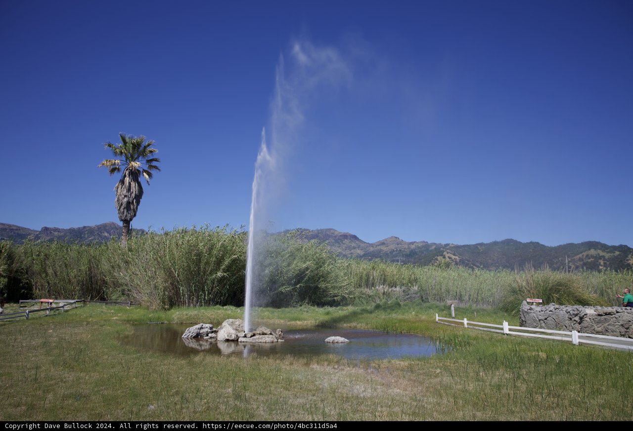 Majestic Geyser Eruption at Calistoga