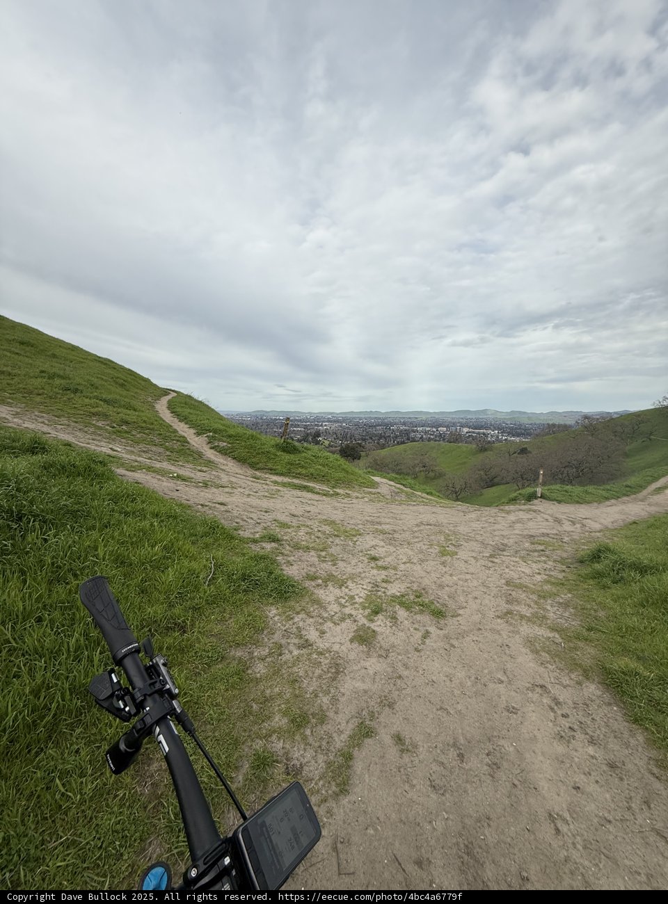 Wandering Trails of Walnut Creek