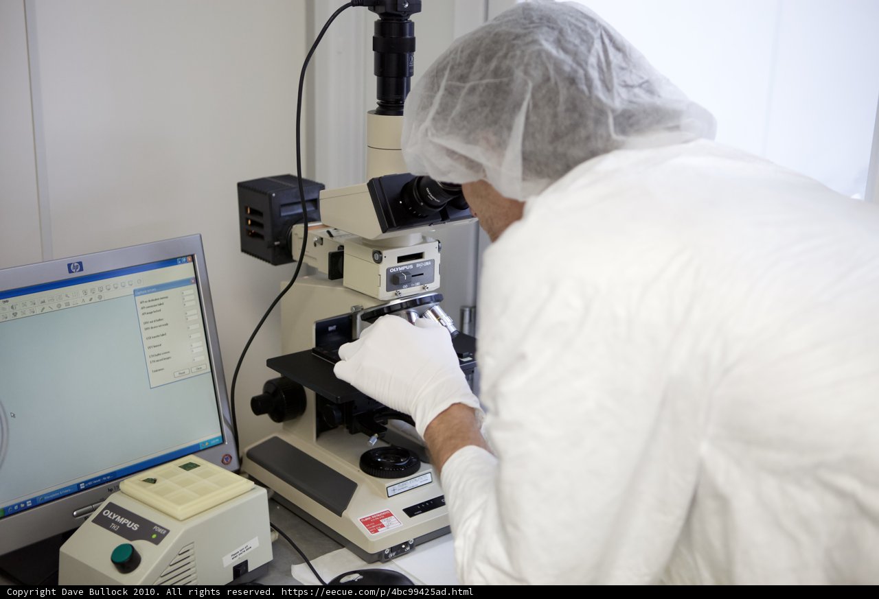 Examining Solar Cells