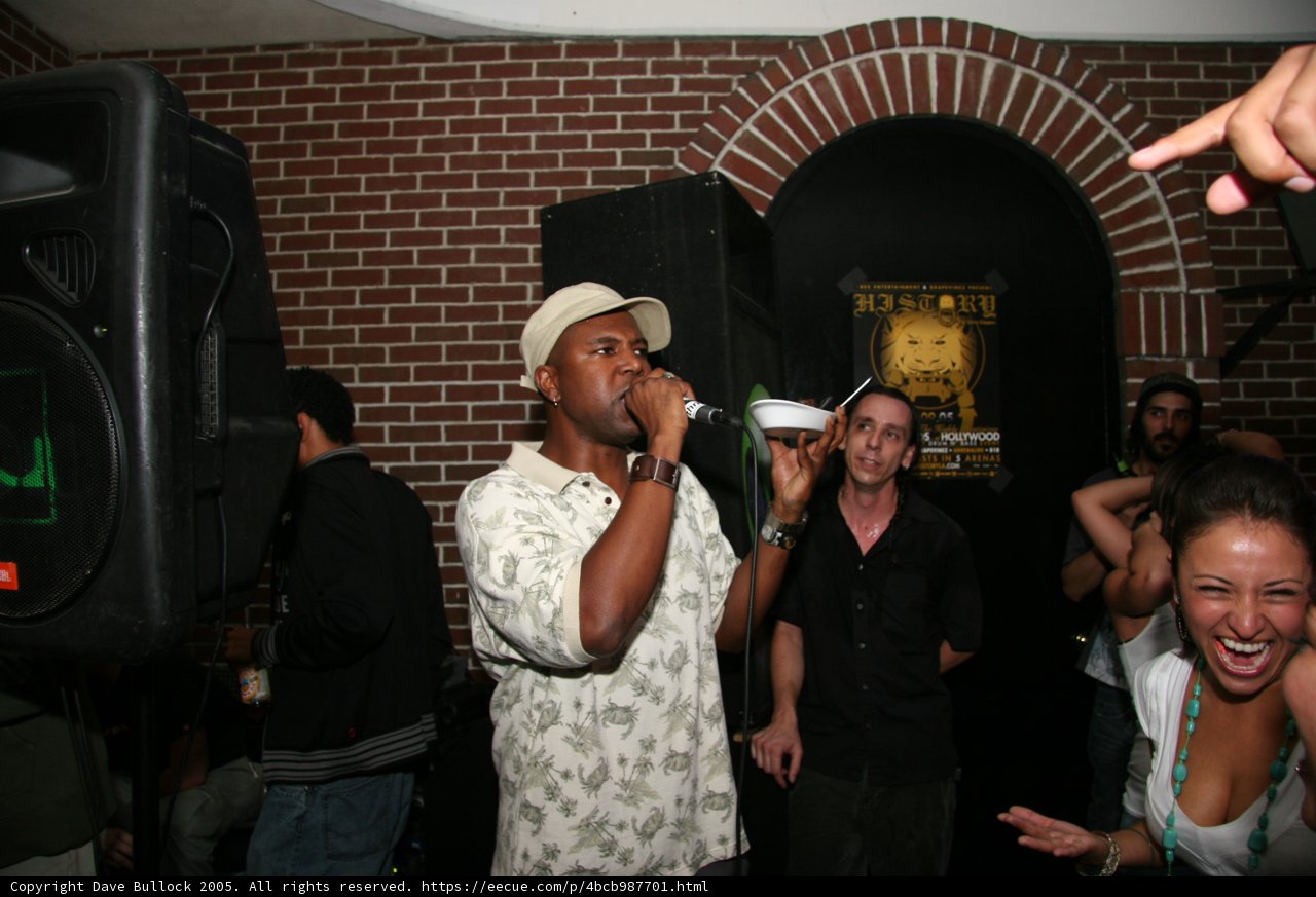 Karaoke King