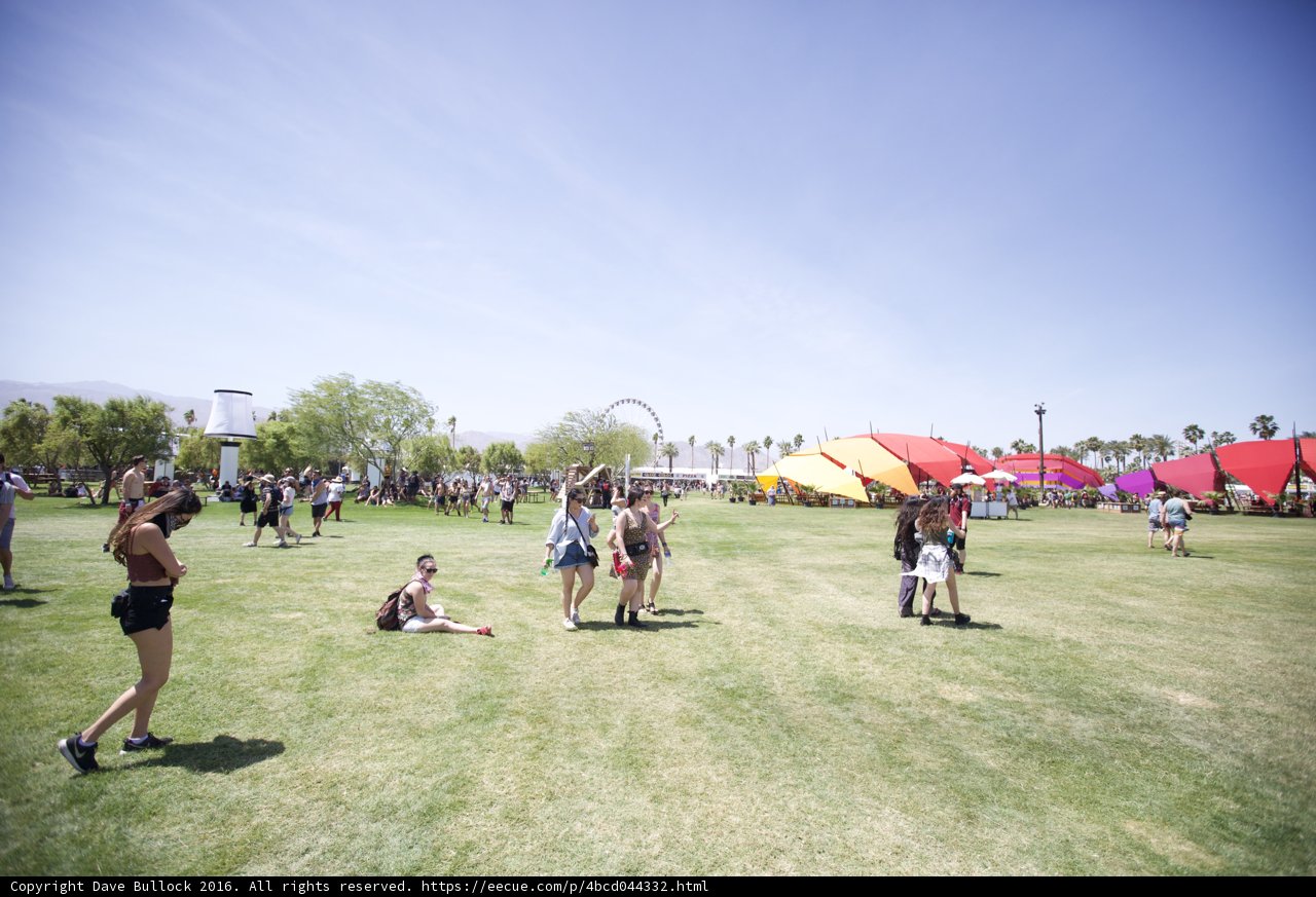 Festival Day Fun