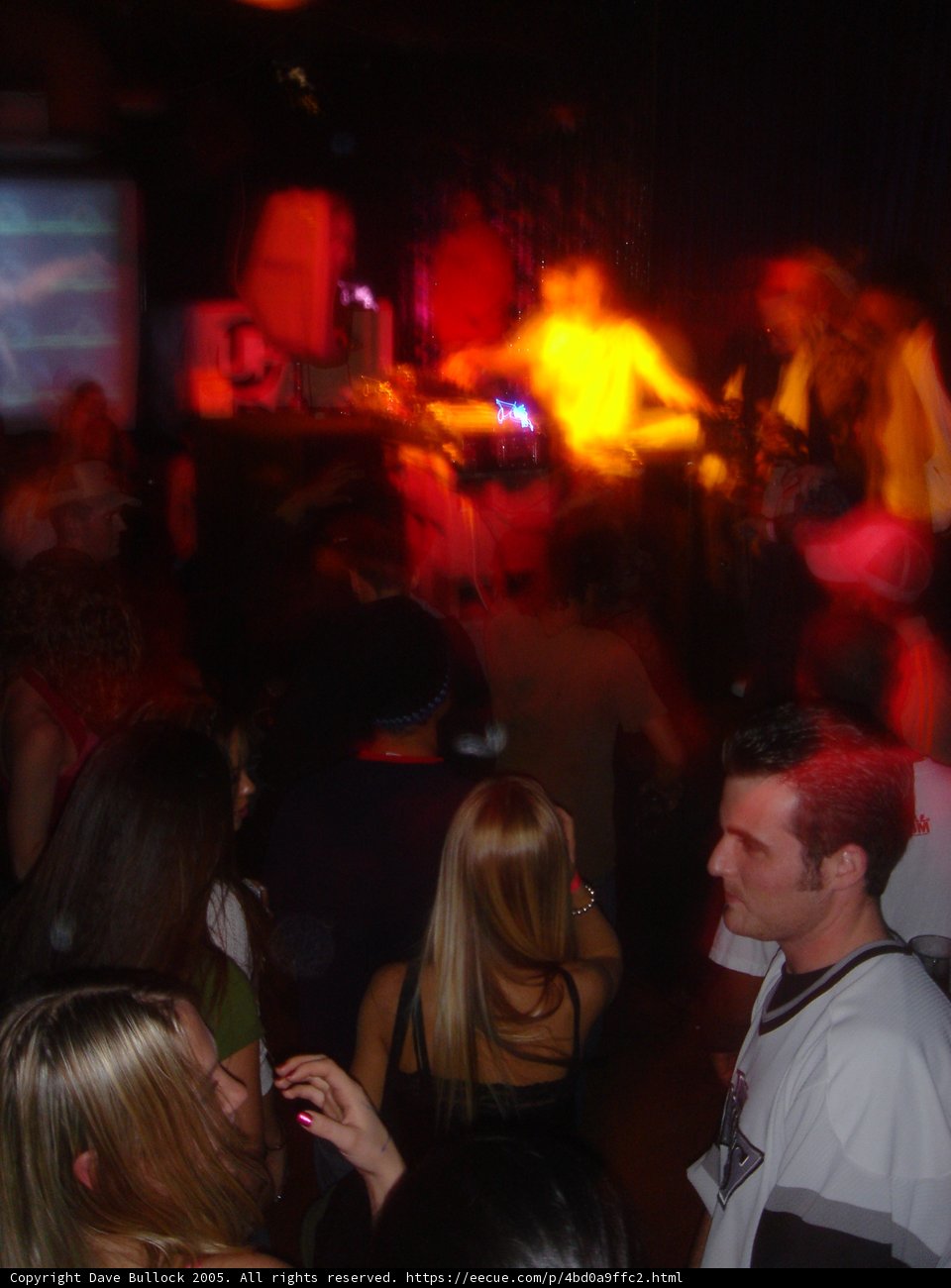 Nightlife in the Urban Jungle