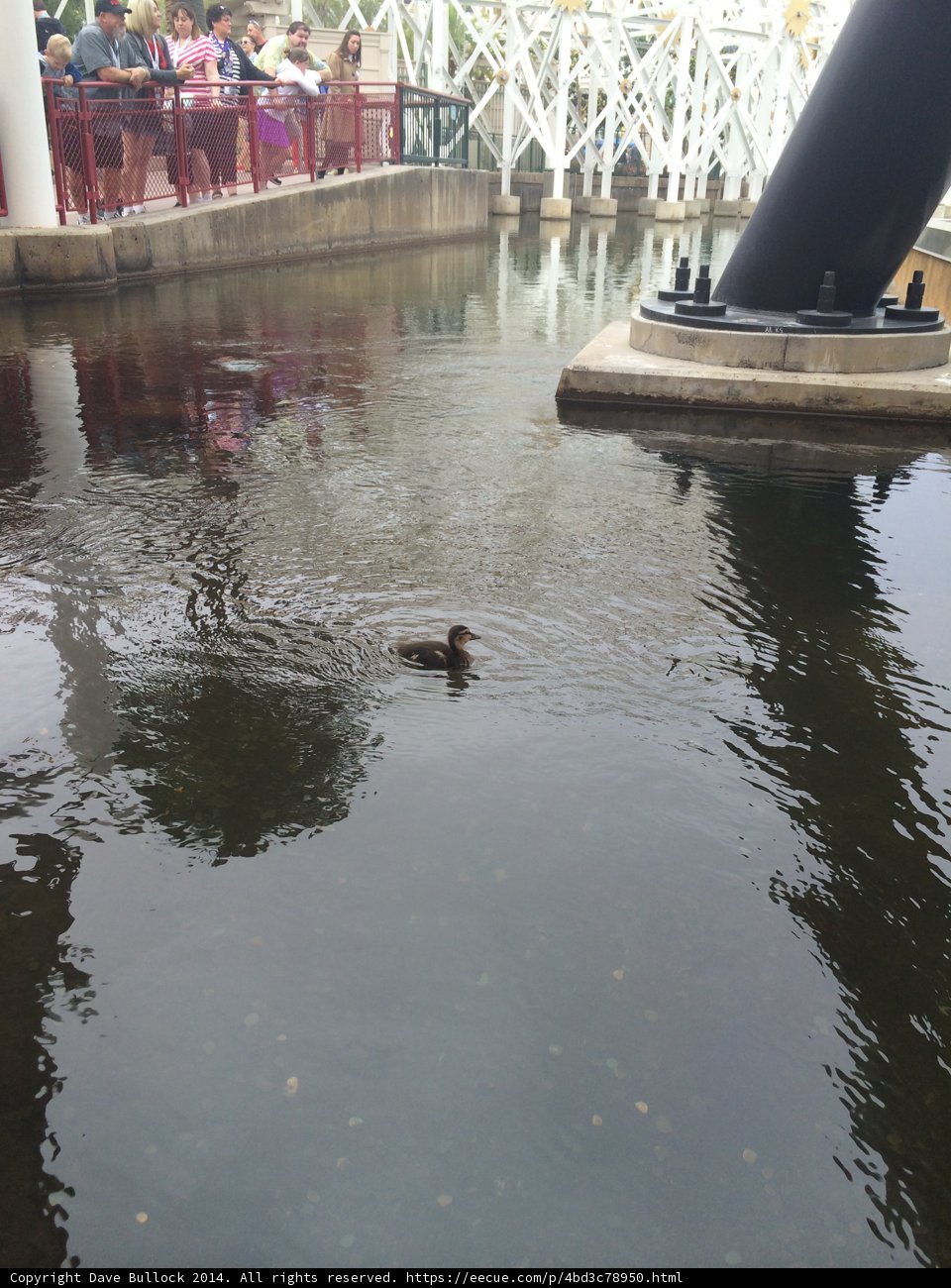 Dom DeLuise and the Mallard