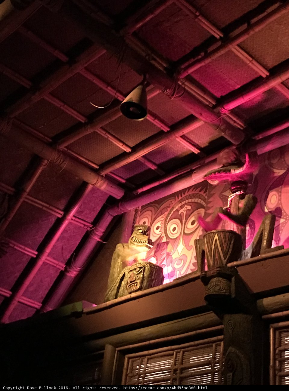 Disneyland's Tiki Room Illuminated with Vibrant Lighting