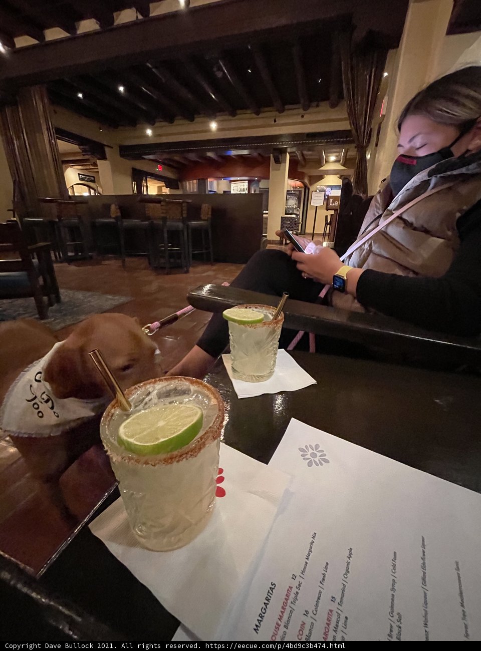 Happy Hour with Fido