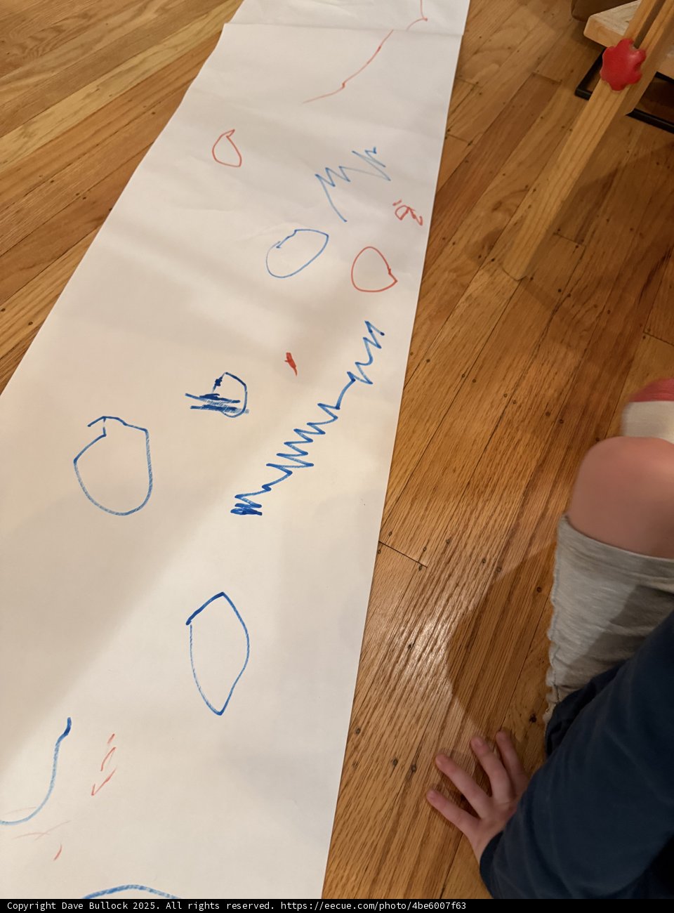 Creative Scribbles on Hardwood