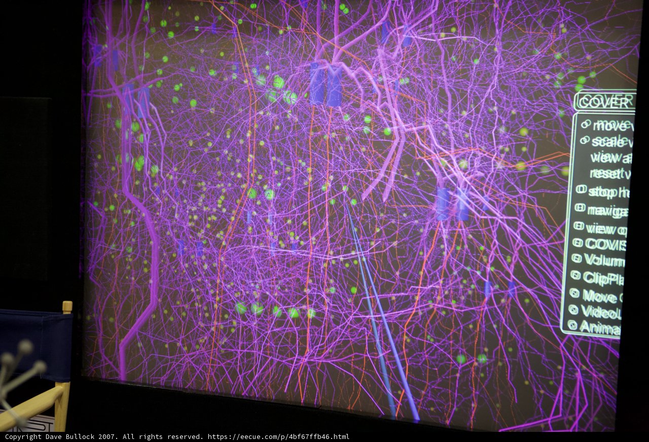 Mapping the Mind