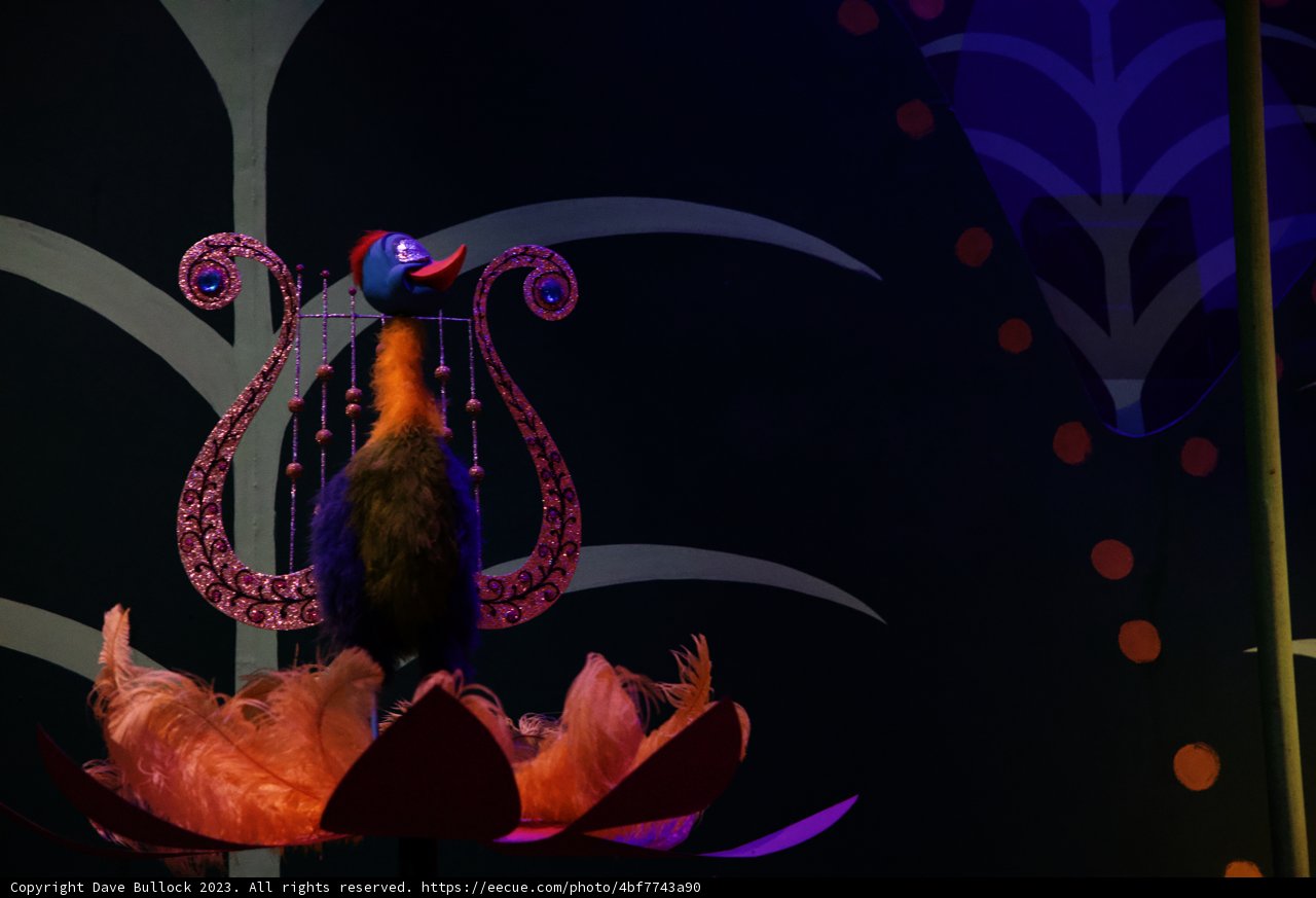 Magical Melodies in Disneyland