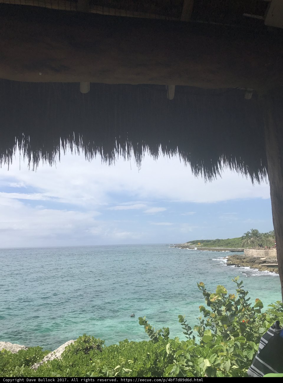 Ocean View from a Cozy Hut