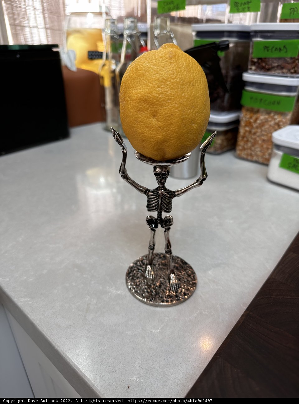 Citrus Standout
