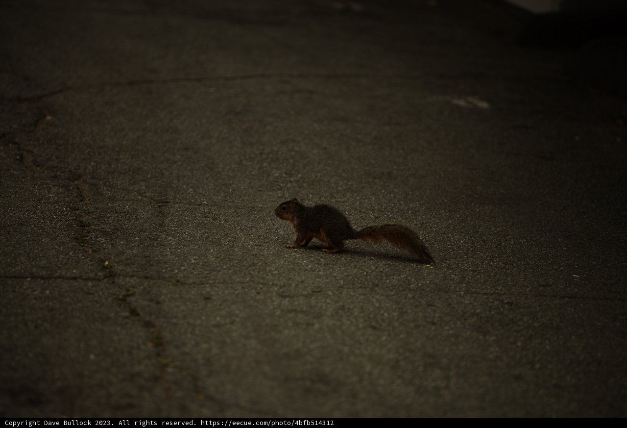 Urban Explorer