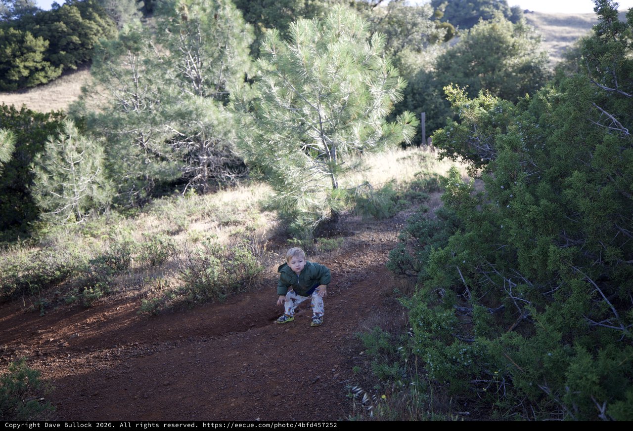 Toddler Explores Red Dirt Trail on Mount Diablo