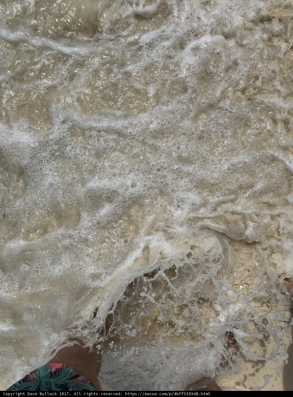 Standing in the Waves