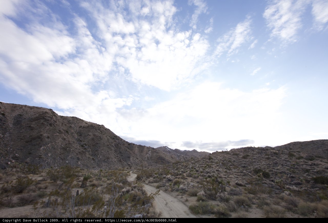 Desert Wanderer