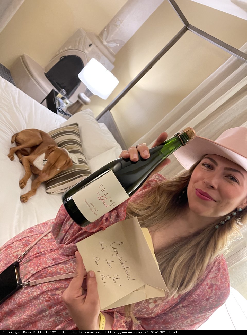The Pink Hat Wine Connoisseur
