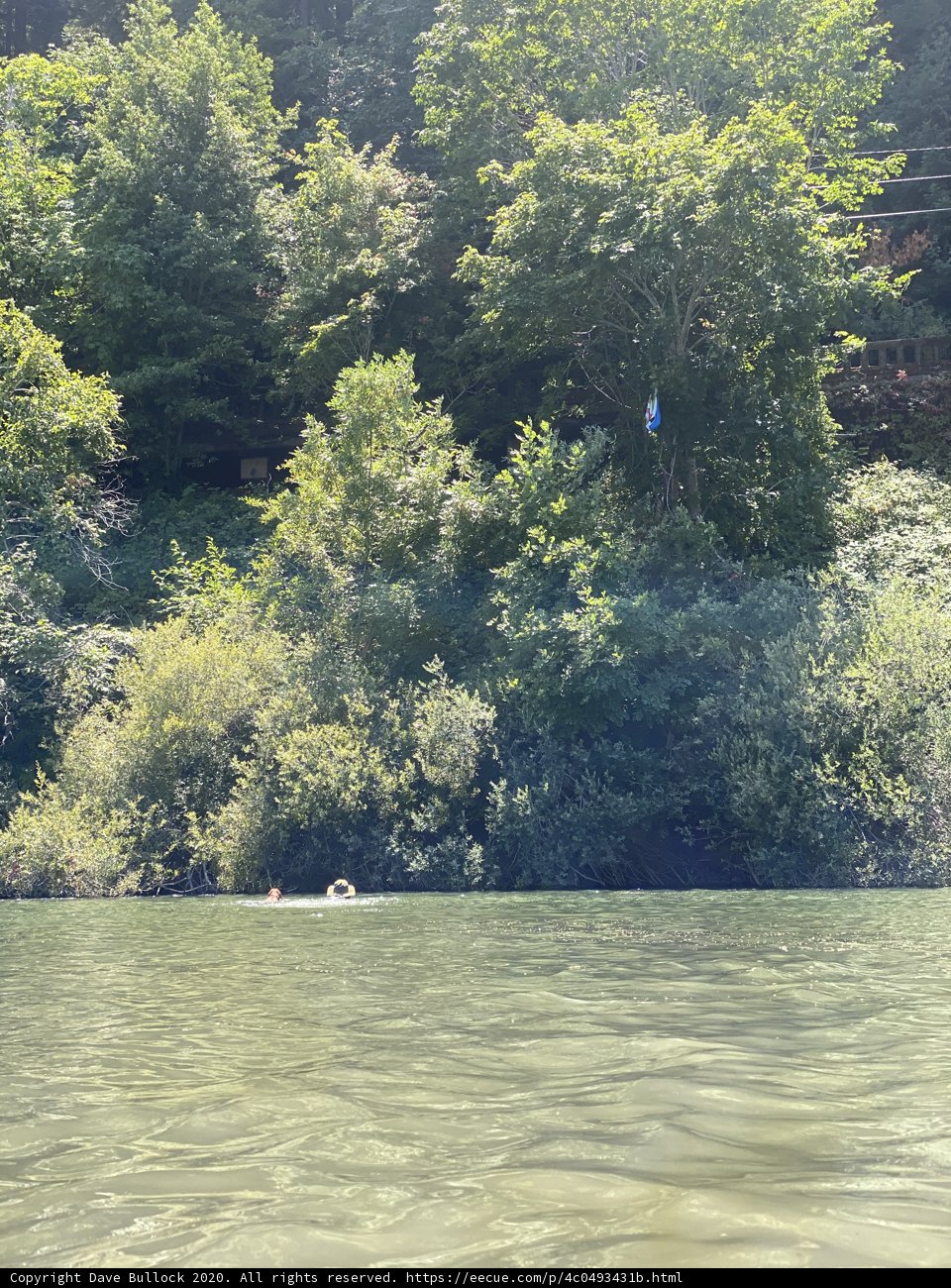 Raft Adventure in the Russian River