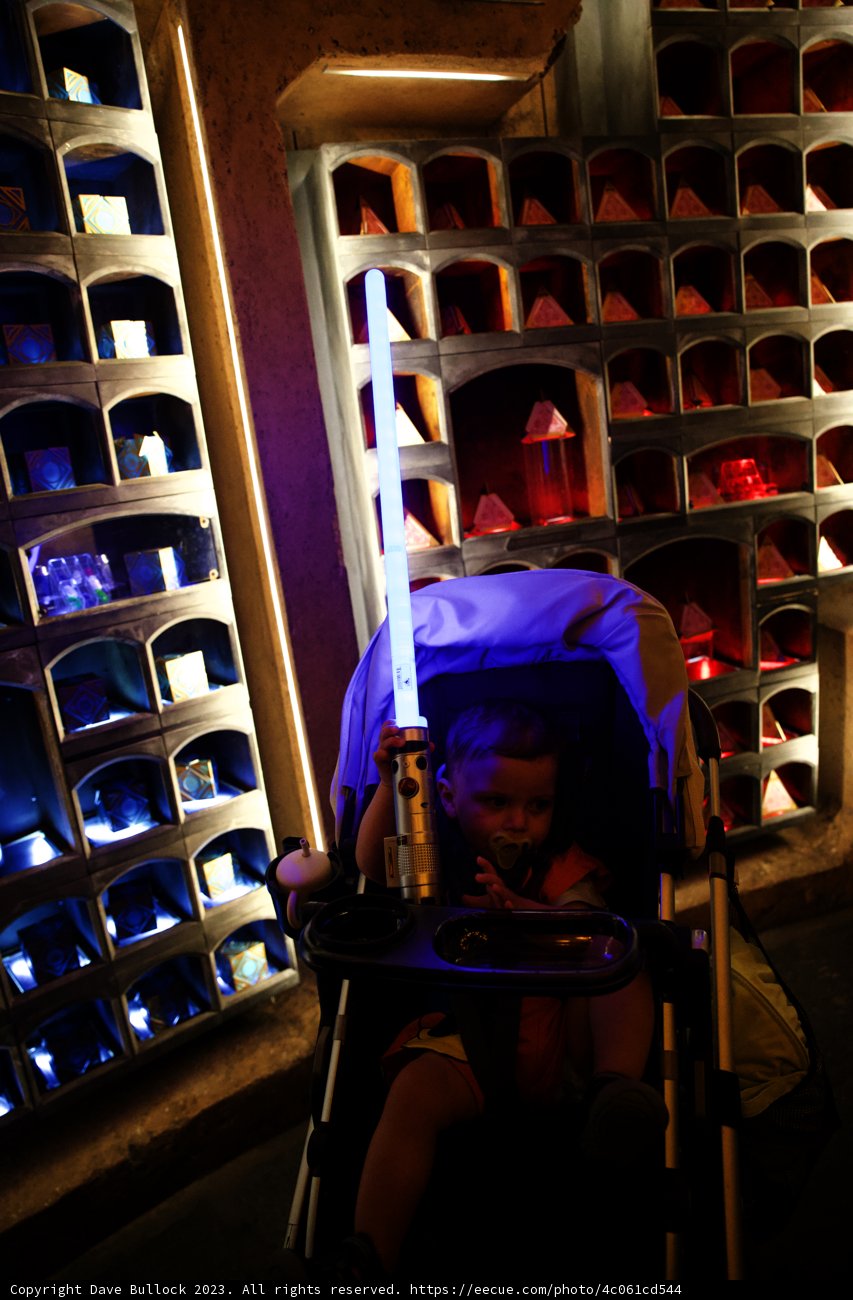 Magical Moments at Disneyland