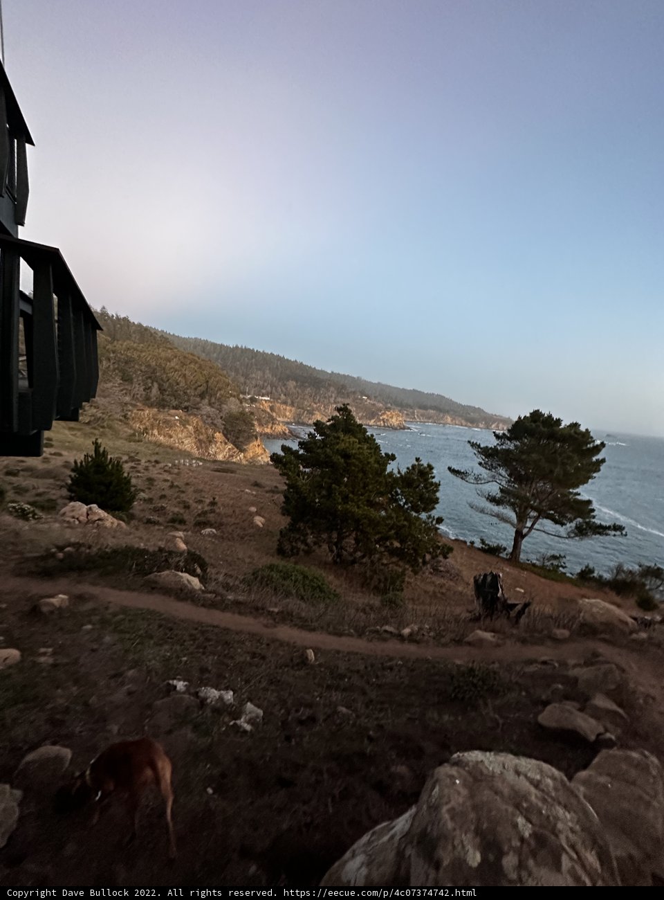Overlooking the Majestic Ocean