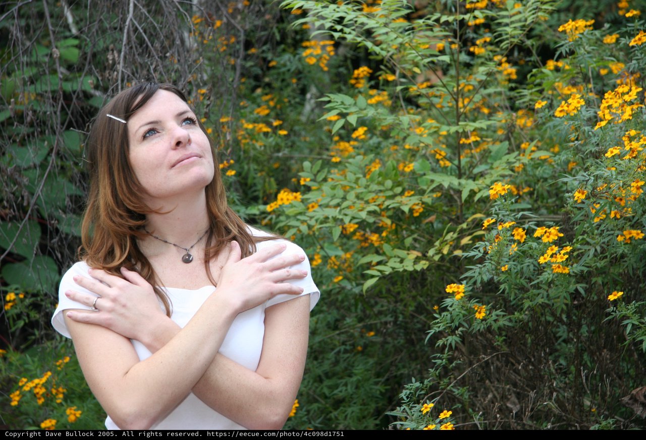 Woman Gazing Upward Among Golden Wildflowers
