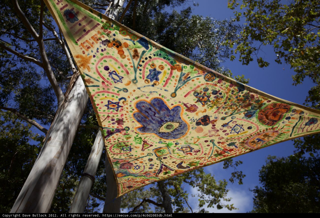 Colorful Kite Adorned Eucalyptus Tree